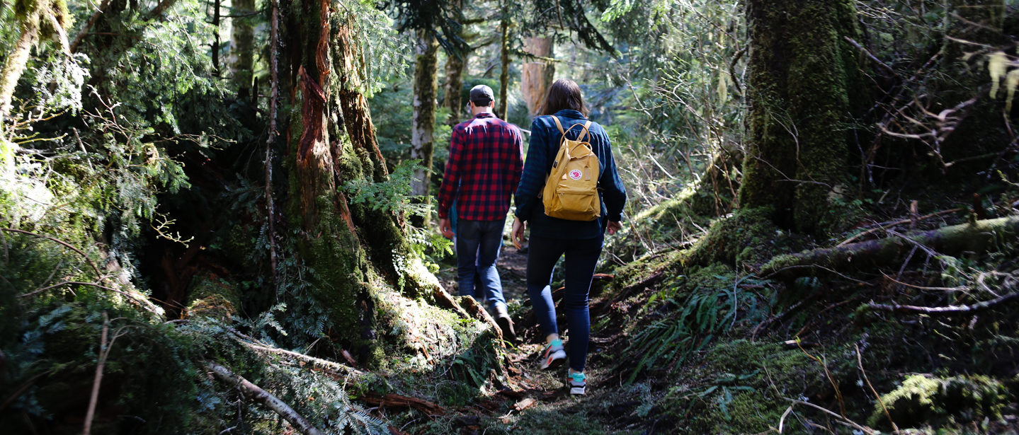 6 Rainy Day Coast Activities