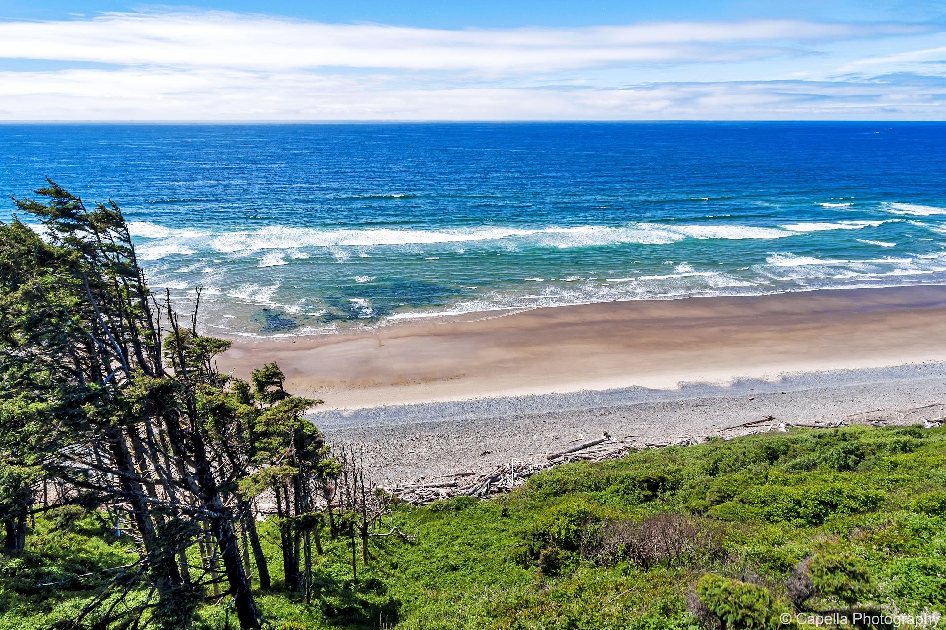 Ocean Views and Falcon Cove Living