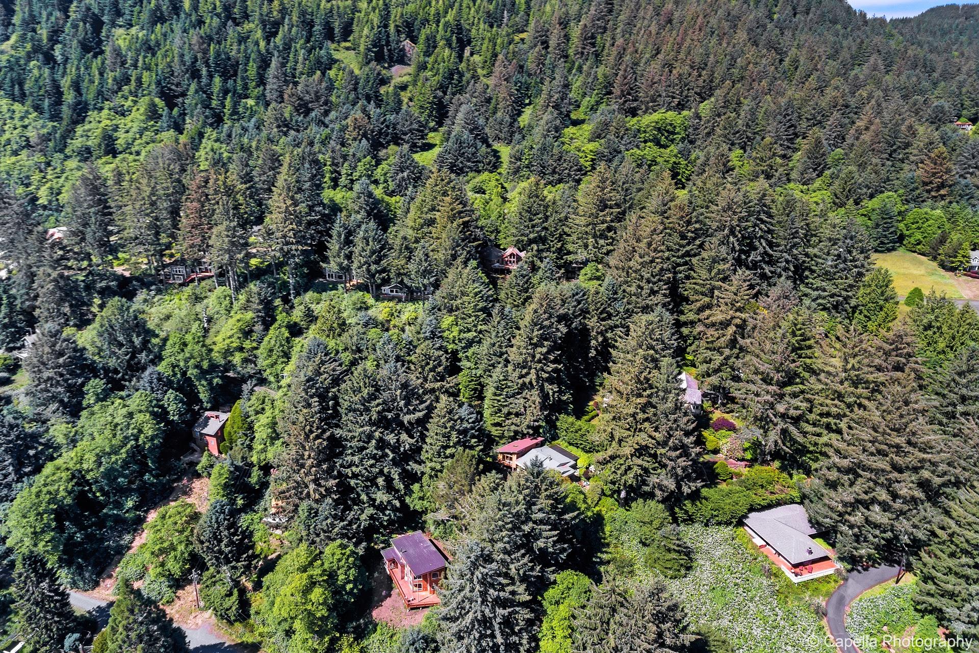 Extra Large Lot Overlooking Neahkahnie