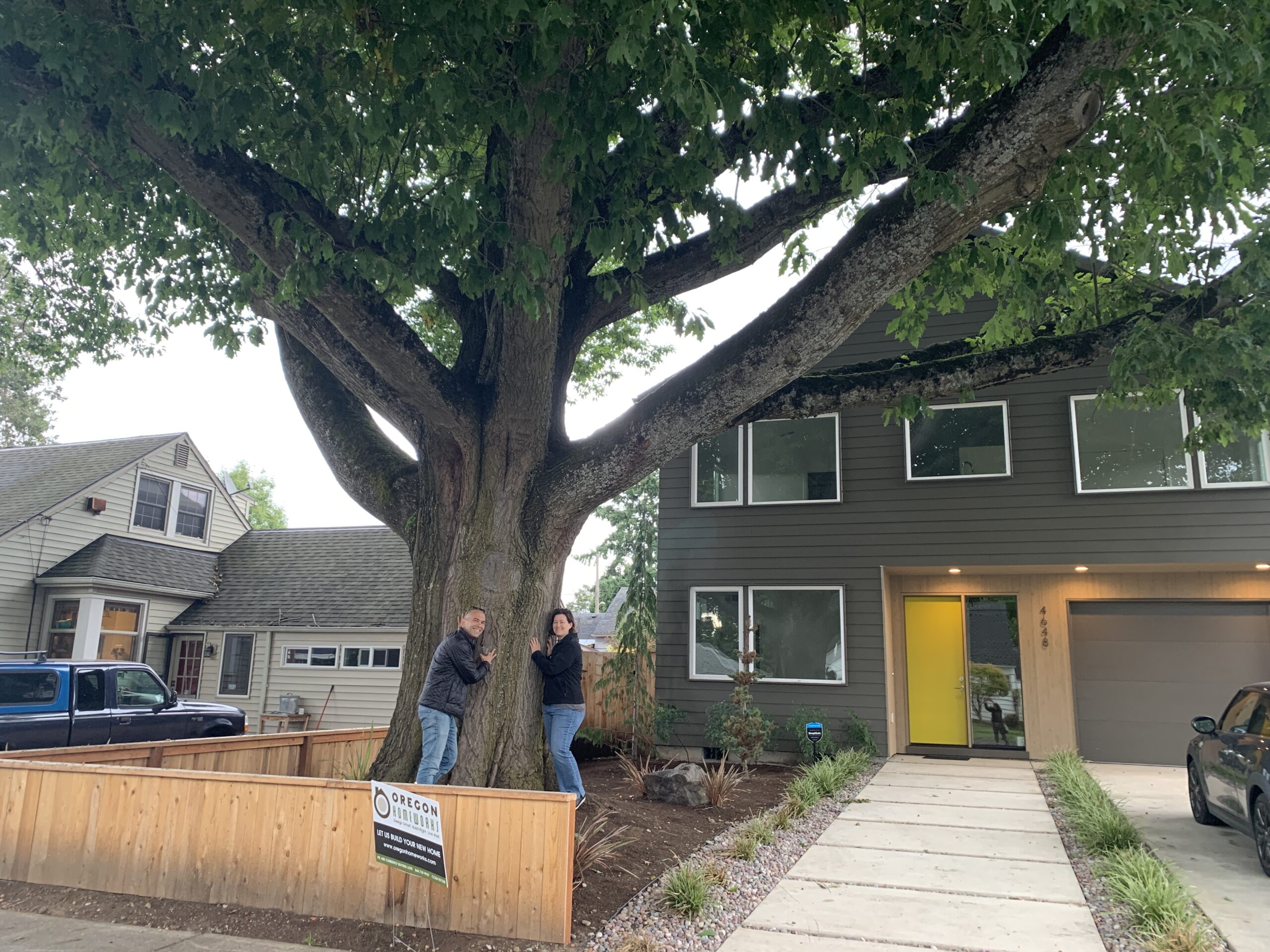 They Bought a Very Old Oak Tree That Came With a Very New House