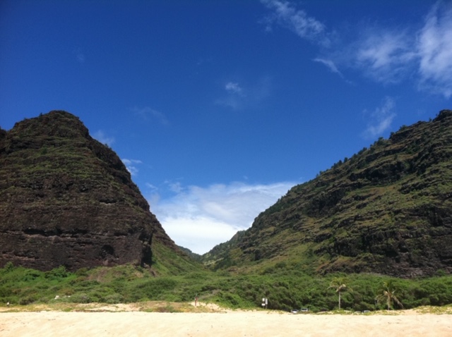 Hawaii Dreaming on Such a Winter Day