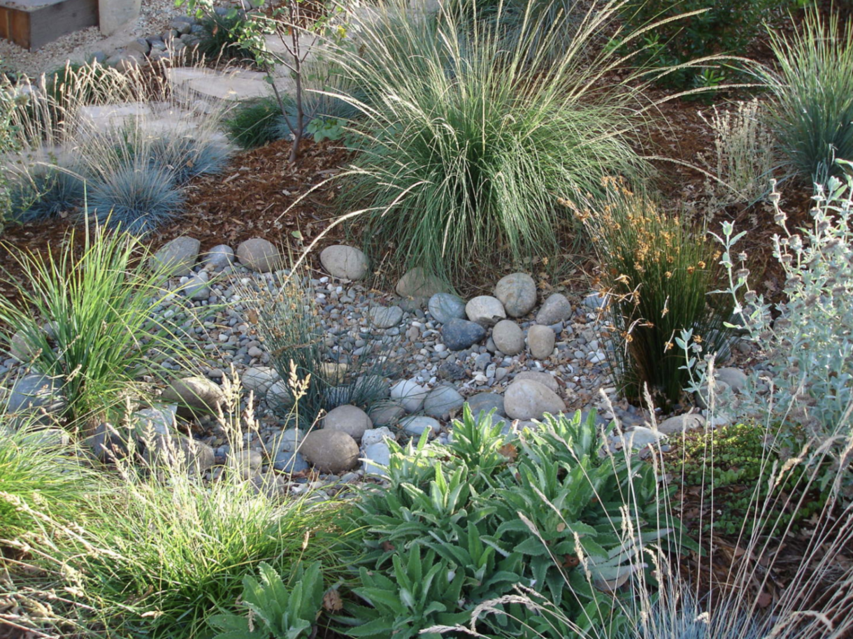 Bioswales vs. Dry Wells