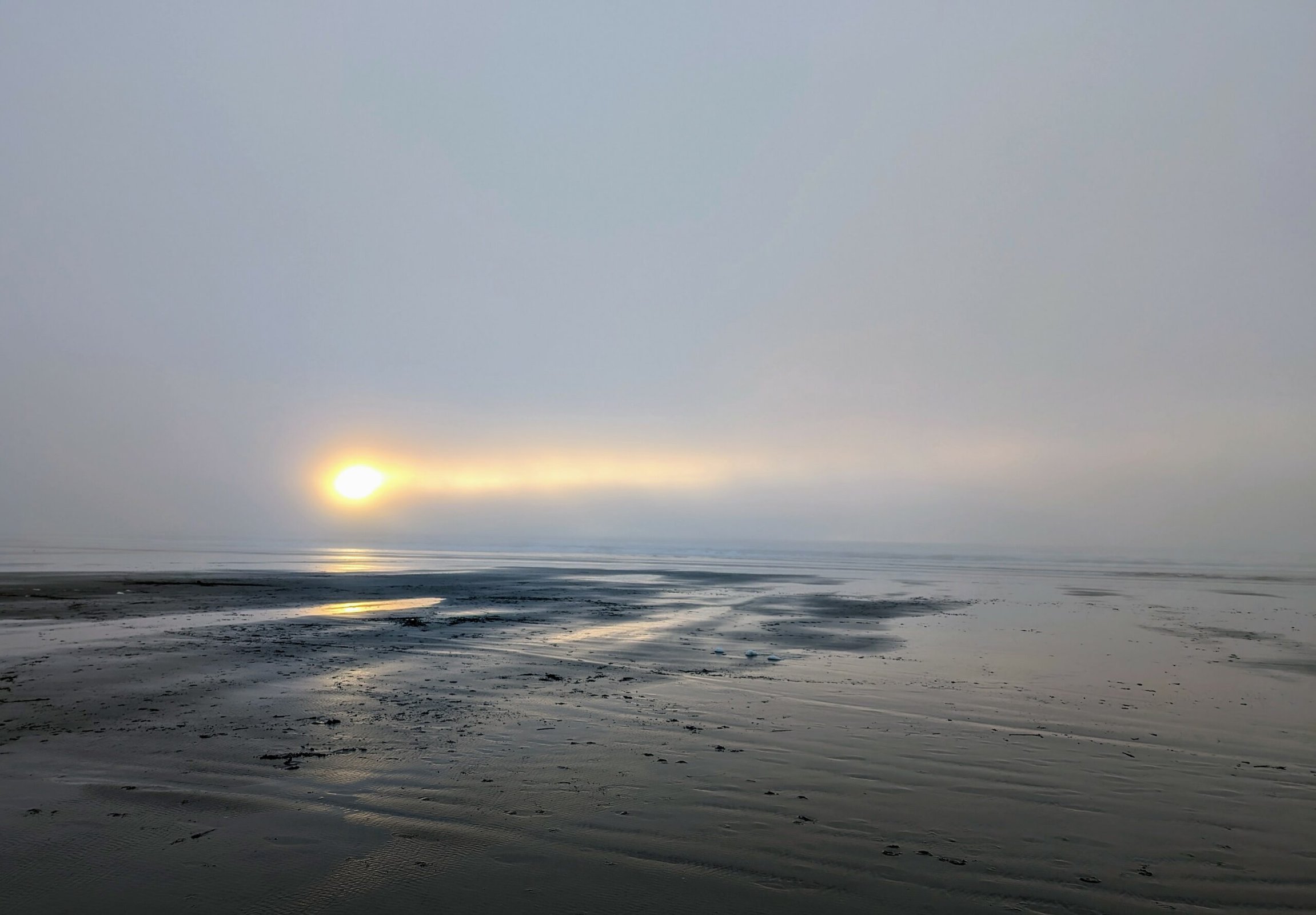 King Tides, New Years